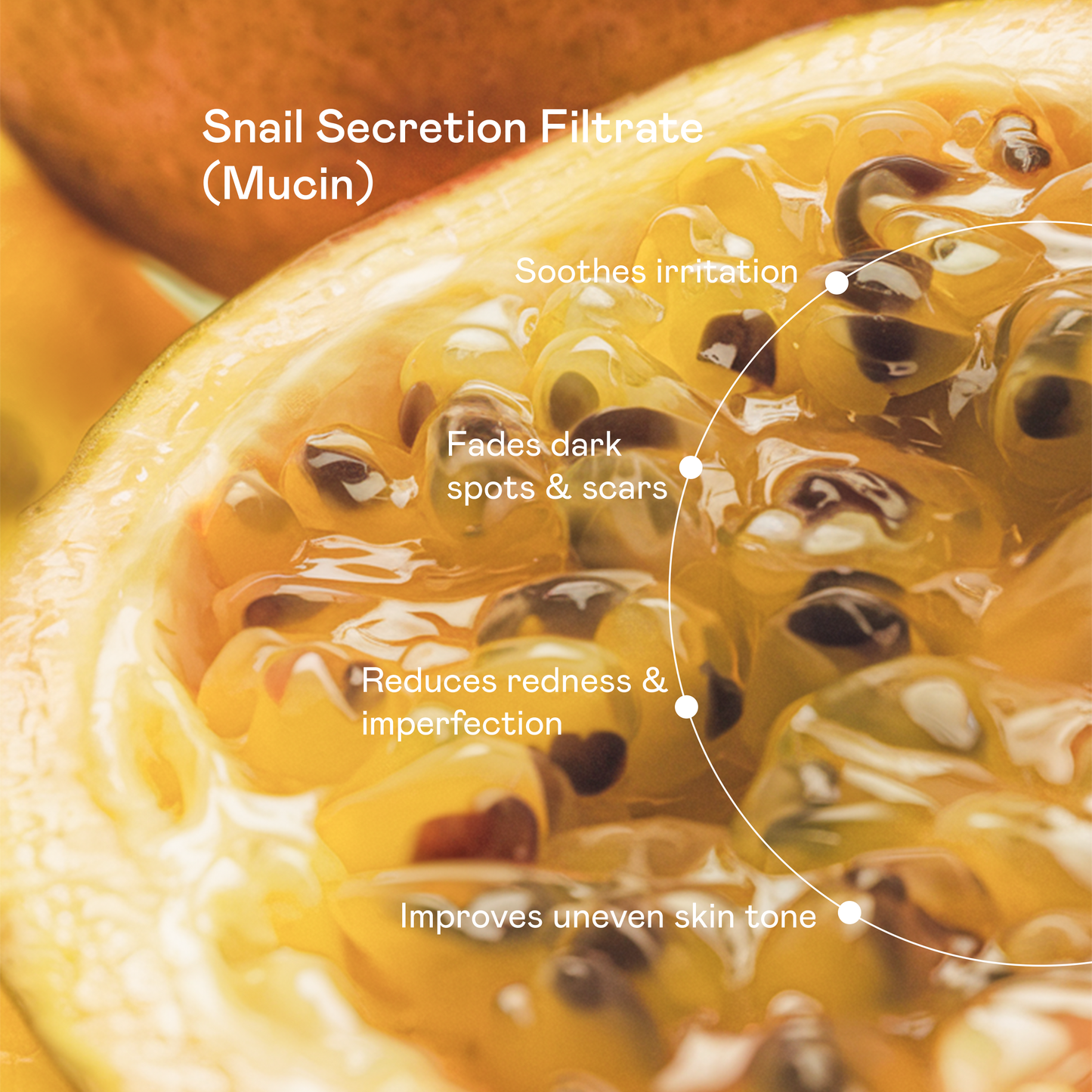 Advanced Snail Mucin Essence