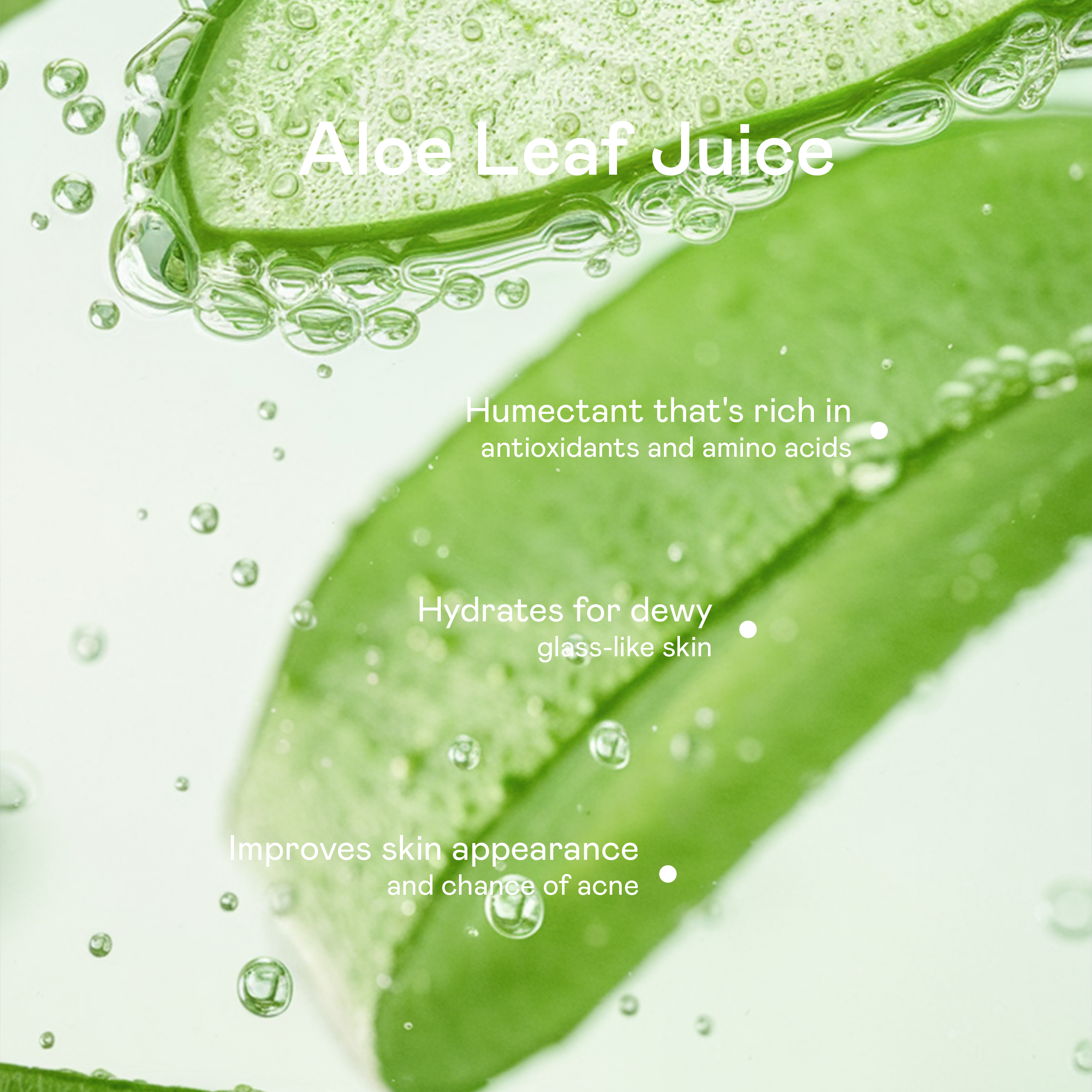 Purifying Foam Cleanser